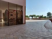 Top Caprioli Top Caprioli