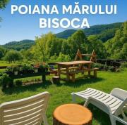 Pensiunea Poiana Marului - Bisoca