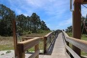 Top Cape San Blas