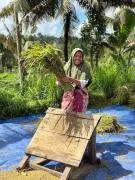 Top Tetebatu