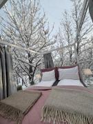 Eyja Mork - Stargazing Igloo with shared Hot Tub, BBQ and kitchen - B3