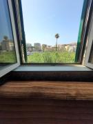 Top Nettuno Top Nettuno