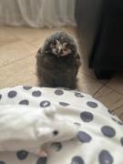 Top Duszniki-Zdrój Top Duszniki-Zdrój