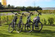 Villa Maroma Mistral luxueus verblijf voor zakelijk en privé met gratis 4 E-bikes