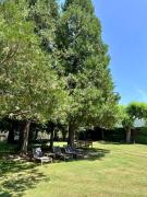 Top Bellver de Cerdanya