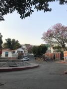 Top Cuernavaca