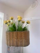 Top Albissola Marina