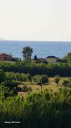 Top Vlorë