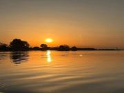 Luxury holiday home surrounded by water and forest