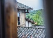 Top Wulong