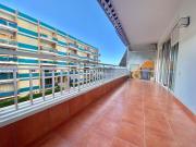 El Cisne Solo Familias Serviplaya