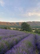 Grand studio Manosque face lycée international et hôpital, Cadarache-Iter