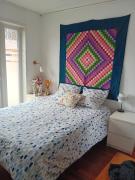 Maison plein pied blaesheim chien accepté