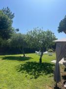 Top Sanxenxo