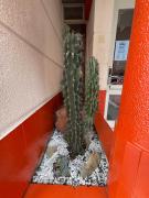 Top San Salvador de Jujuy