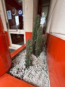 Top San Salvador de Jujuy