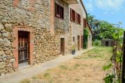 Top Parrano
