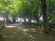 Top Monteleone di Puglia