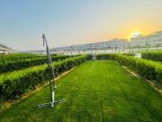 The King Family BLUMAR بلومار