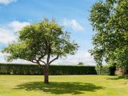 Coastal Retreat in Bjarrebygden