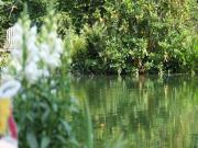 Top Markelo Top Markelo