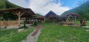 Top Plav