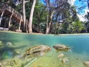 Park Veredas - Apto 526 - Flat Service