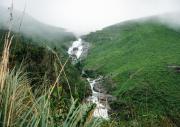 Top Vagamon