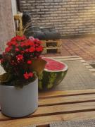 Top MelnragÄ— Top MelnragÄ—