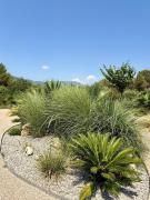 Top Contes Top Contes