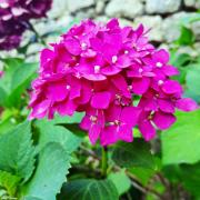 Top Saint-Julien-Vocance