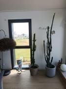 Top Gouville-sur-Mer