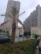 Top Gurgaon