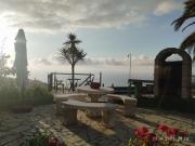 Top Icod de los Vinos