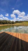 Top Toledo
