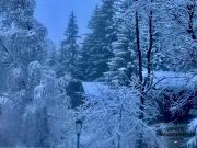 Top Courchevel