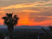 Top Puerto Marino Top Puerto Marino