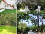 Top Spartia Top Spartia