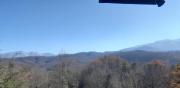 Top Gatlinburg Top Gatlinburg