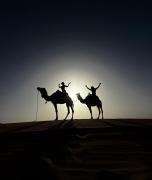 Sahara Luxury Camp VIP