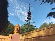 Gite La Vie Est Belle, Chalet dans un petit coin de paradis