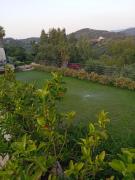 Pleiades - Summertime Stars