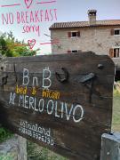 al Merlo Olivo, rural istrian house