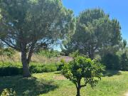 Top Kyllini Top Kyllini