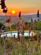 Refugium VERITAS - entire Villa with Pool