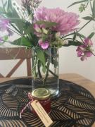 Apartments "Am Ardetzenberg"