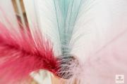 Top La Herradura
