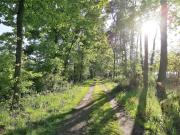 Vakantiewoning in t groen-Lille Vakantiewoning in t groen-Lille