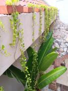 Top Cartagena de Indias