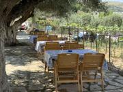 Top Himare
